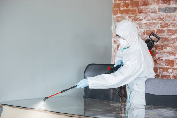 Reliable Two Harbors, MN Mold Removal Solutions